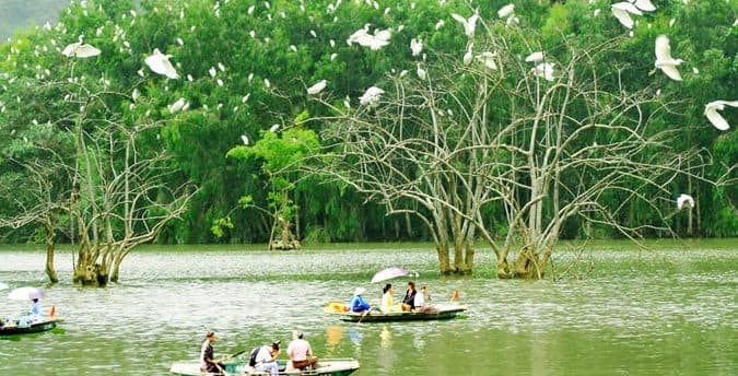 KHÁM PHÁ TAM CỐC – VƯỜN CHIM THUNG NHAM